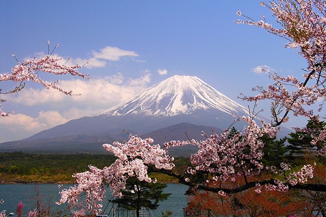 Top 8 địa danh nổi tiếng ở Tokyo nhất định phải biết