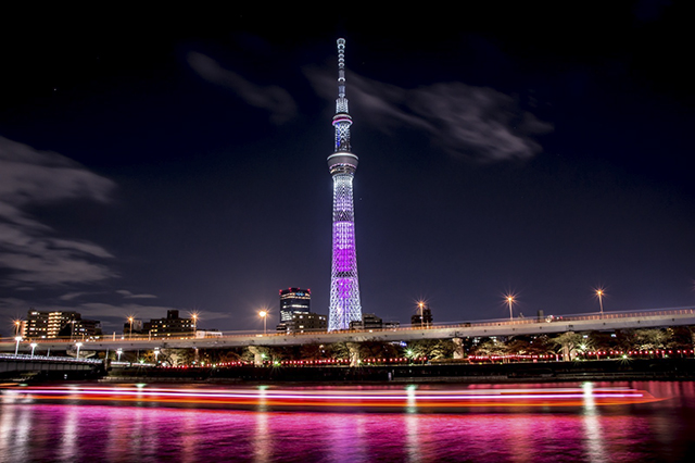 Những địa điểm “săn” ảnh lý tưởng nhất ở Tokyo