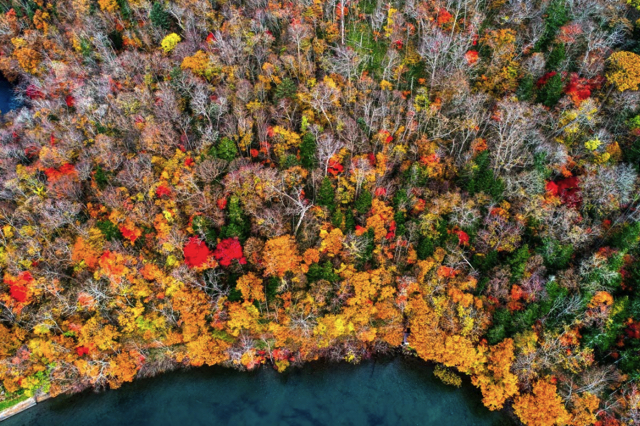 Khám phá hồ miệng núi lửa lớn nhất Nhật Bản – Hồ Kussharo