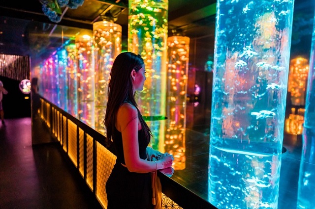 Chiêm ngưỡng hàng ngàn loài cá xinh đẹp tại bảo tàng thủy cung nghệ thuật Ginza Tokyo