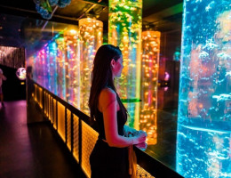 Chiêm ngưỡng hàng ngàn loài cá xinh đẹp tại bảo tàng thủy cung nghệ thuật Ginza Tokyo