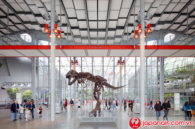Những bộ xương khủng long ở bảo tàng lịch sử tự nhiên là nơi hấp dẫn nhất tại học viện Khoa học California