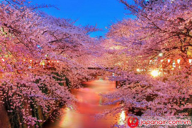 Vé máy bay đi Nhật Bản